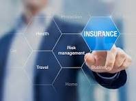 Insurance, Risk Management image